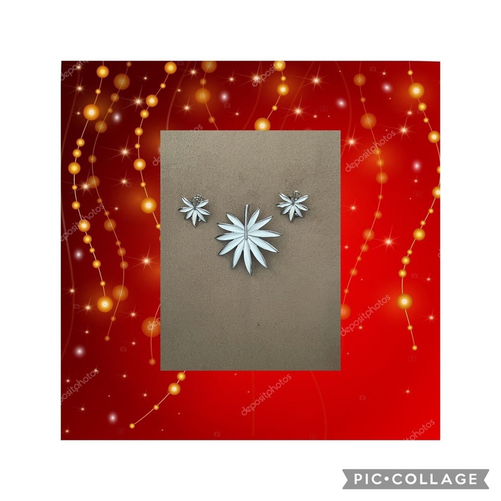 Vintage white poinsettia pin with matching clip back earrings.